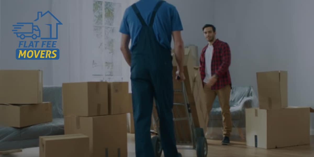 Moving Labor Help