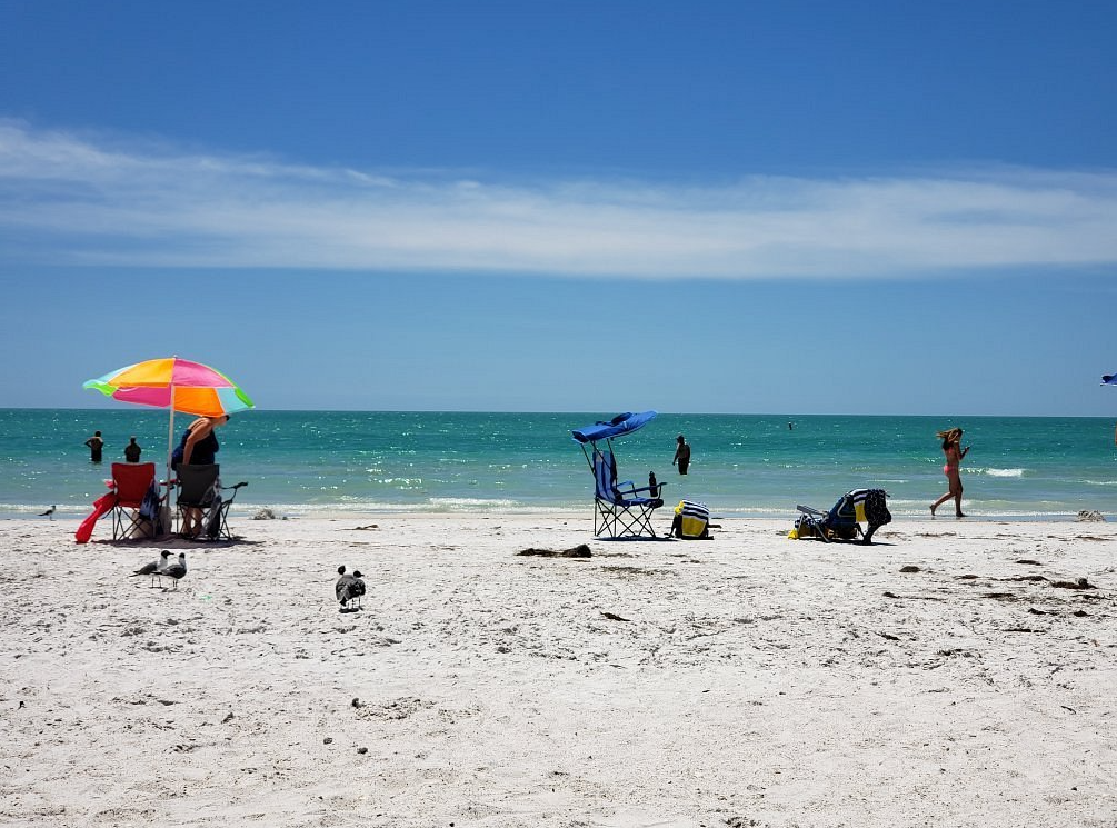 movers bradenton