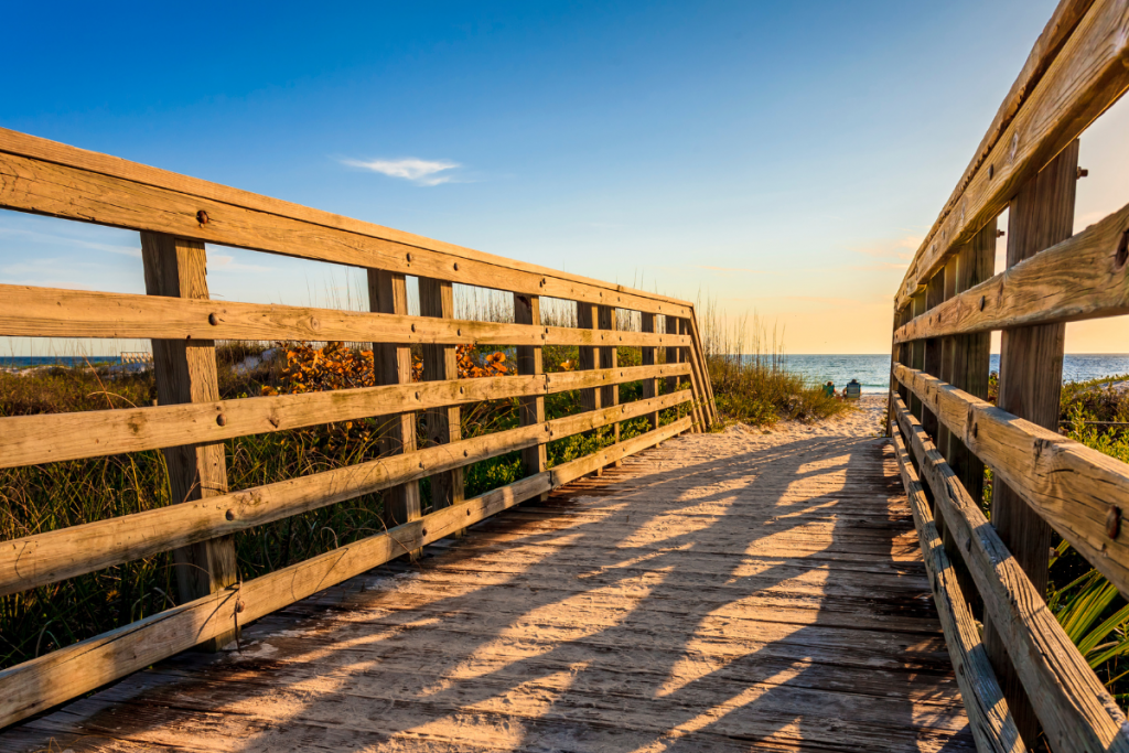 movers bradenton